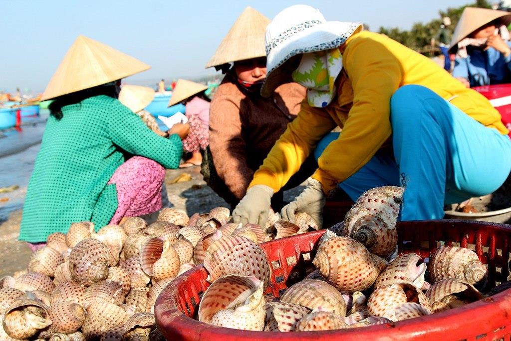 Chợ hải sản làng chài