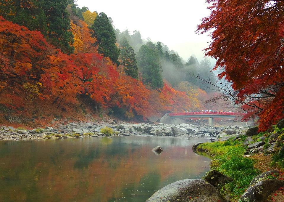 Thung lũng Korankei, Nhật Bản