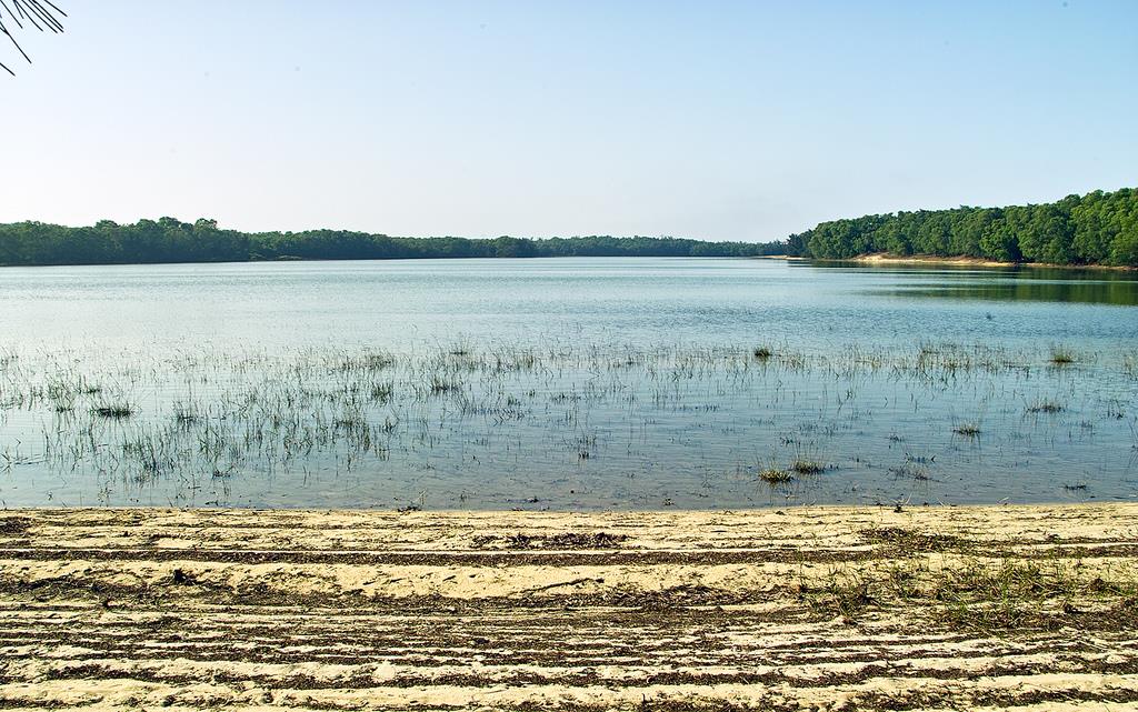 Bàu Tró, hồ nước ngọt duy nhất ở Đồng Hới