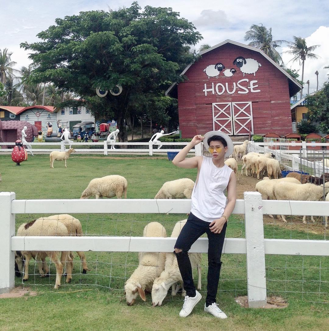 Trang trại cừu Pattaya Sheep Farm