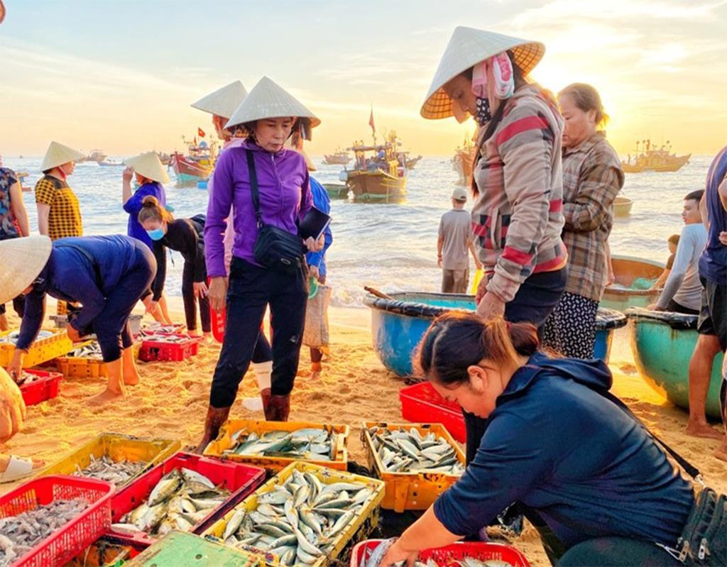Chợ cá Nhân Trạch là địa điểm lý tưởng để mua hải sản về làm quà du lịch Quảng Bình