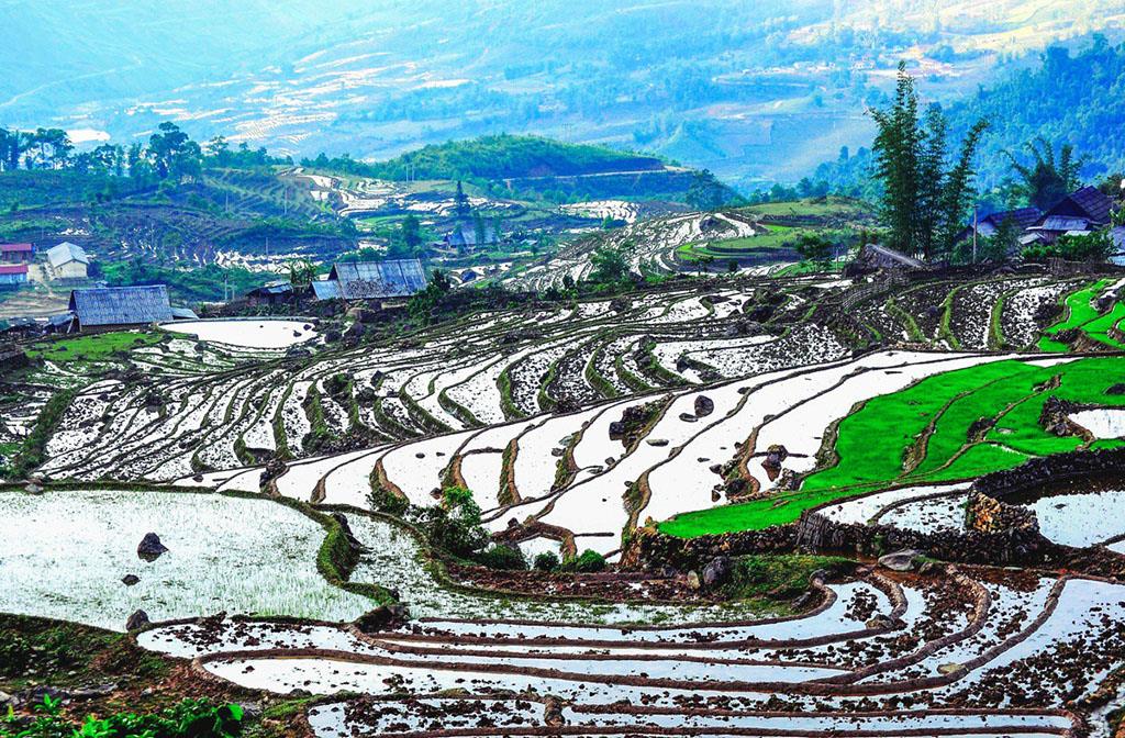 The terraced fields in the season were pouring down
