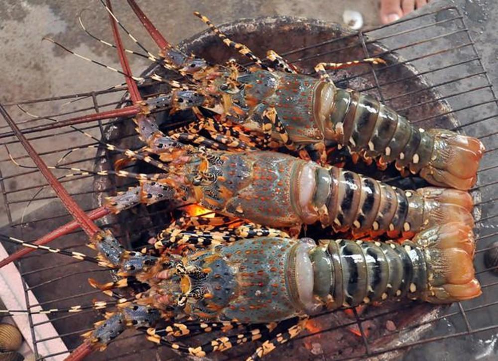 Enjoy lobsters on the beach