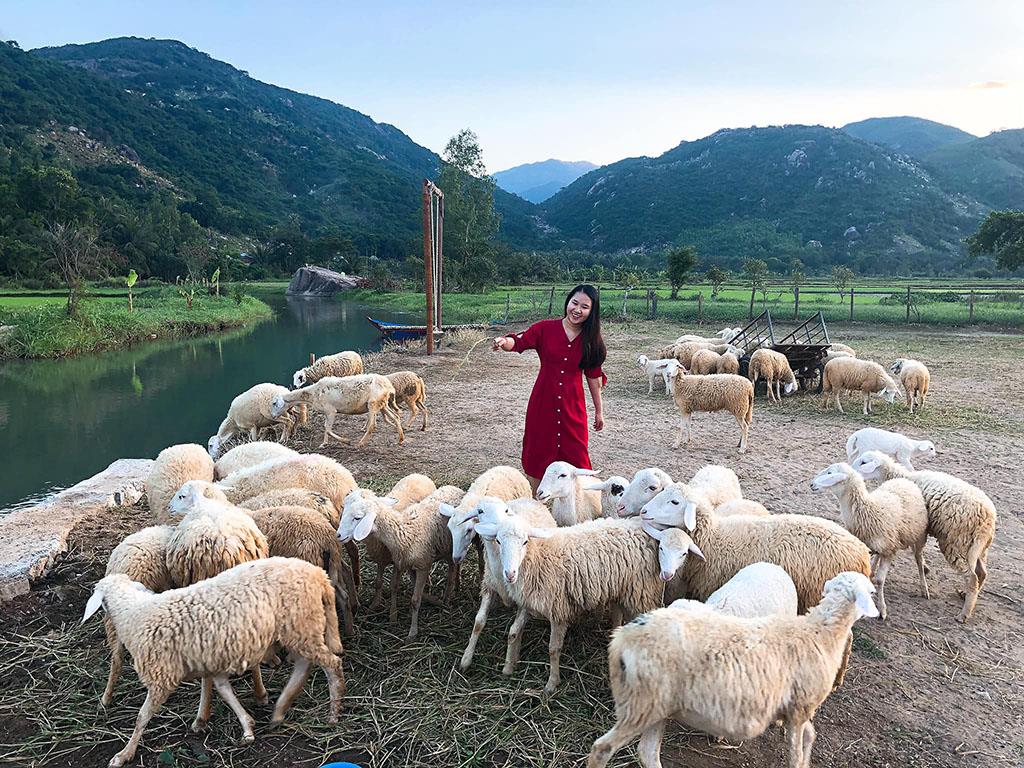Suoi Tien sheep field