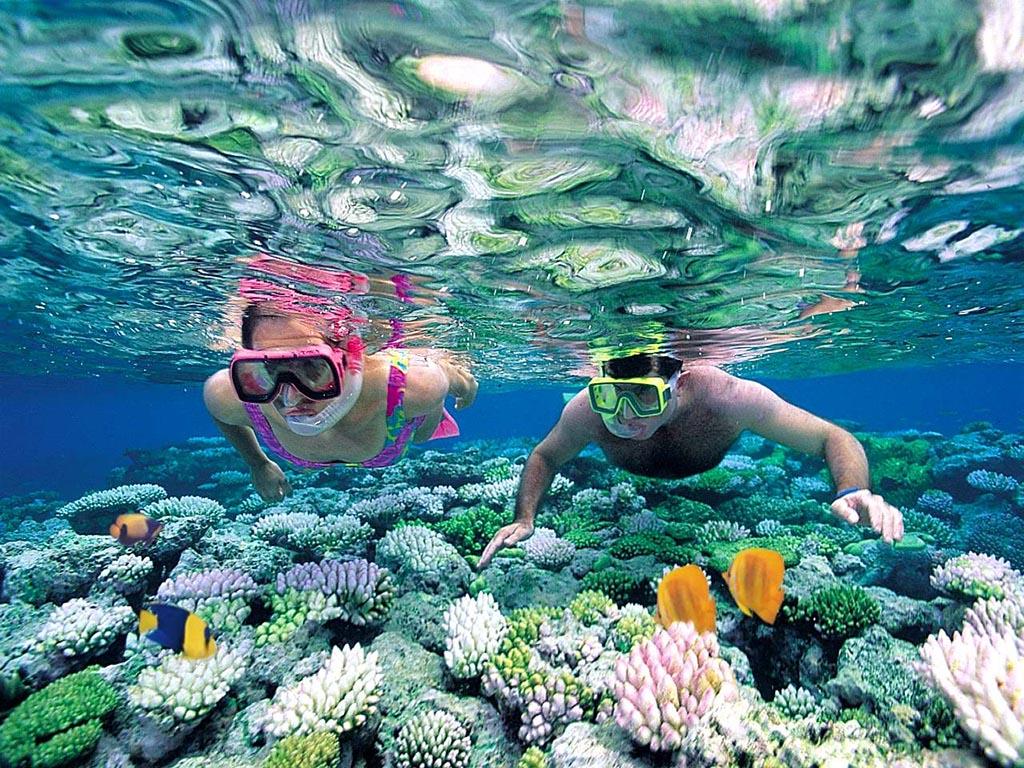 + Snorkeling - Bơi với mắt kính và ống thở