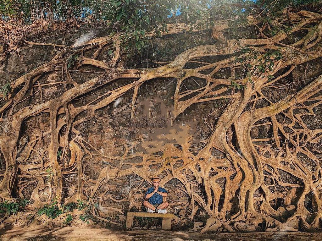 Bộ rễ cổ thụ ở thác Dray Nur