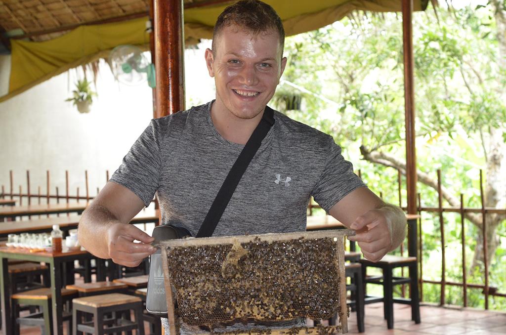 Visit beekeeping farms