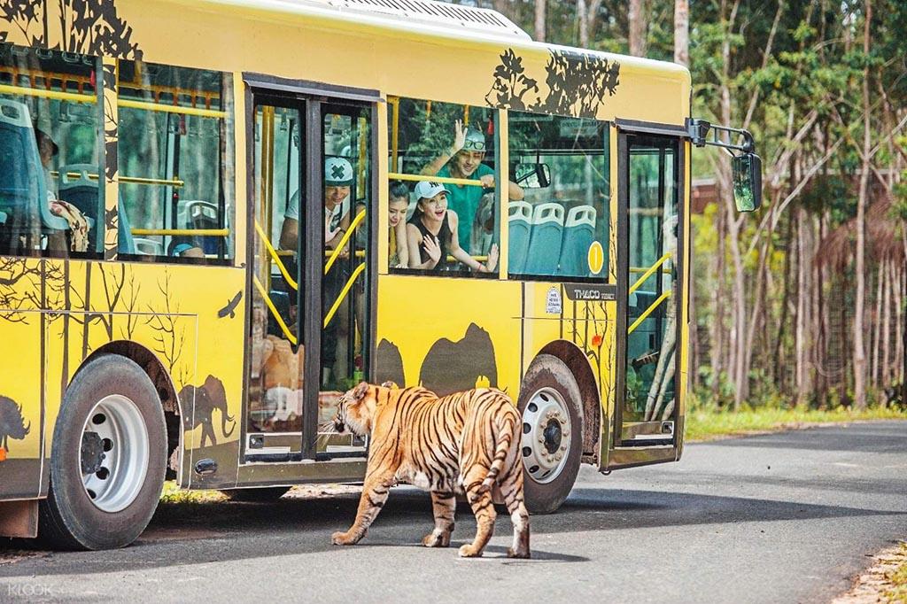 Trải nghiệm “Nhốt người thả thú” ở Vinpearl Safari Phú Quốc
