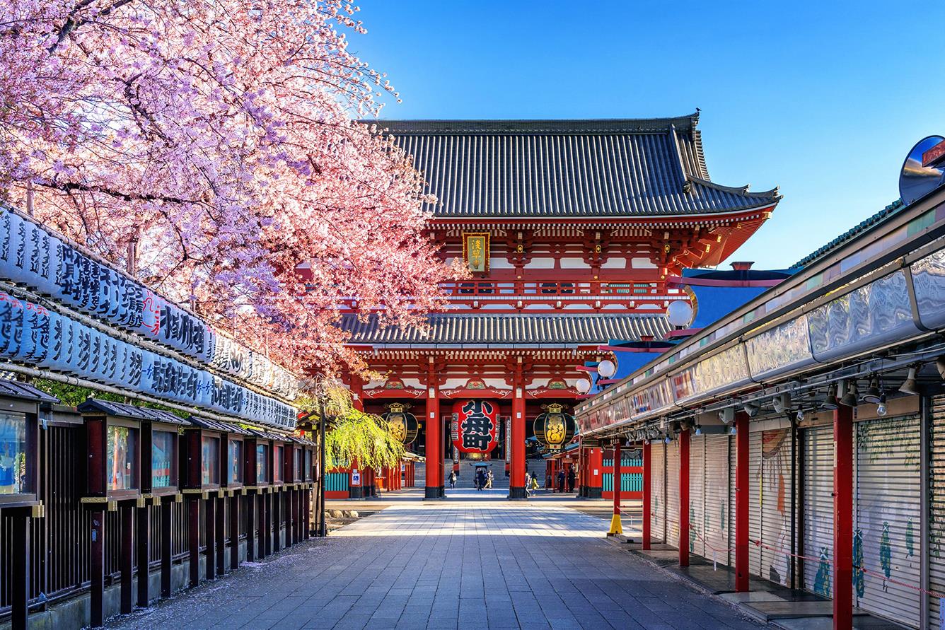 Đi du lịch Nhật mùa hoa anh đào - Lễ bái đầu năm ở ngôi chùa Sensoji cổ nhất Tokyo | VIETRAVEL