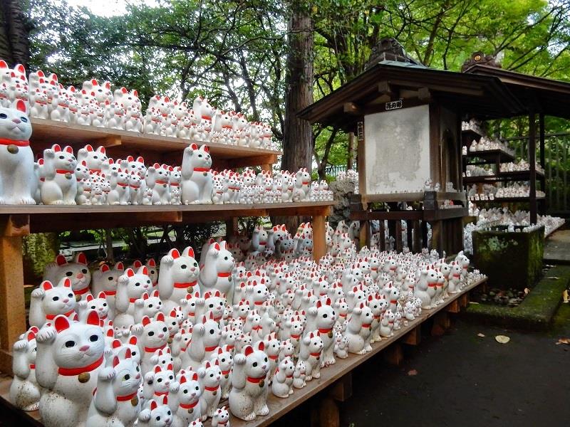 Chụp ảnh tự sướng tại Đền mèo Neko Maneki