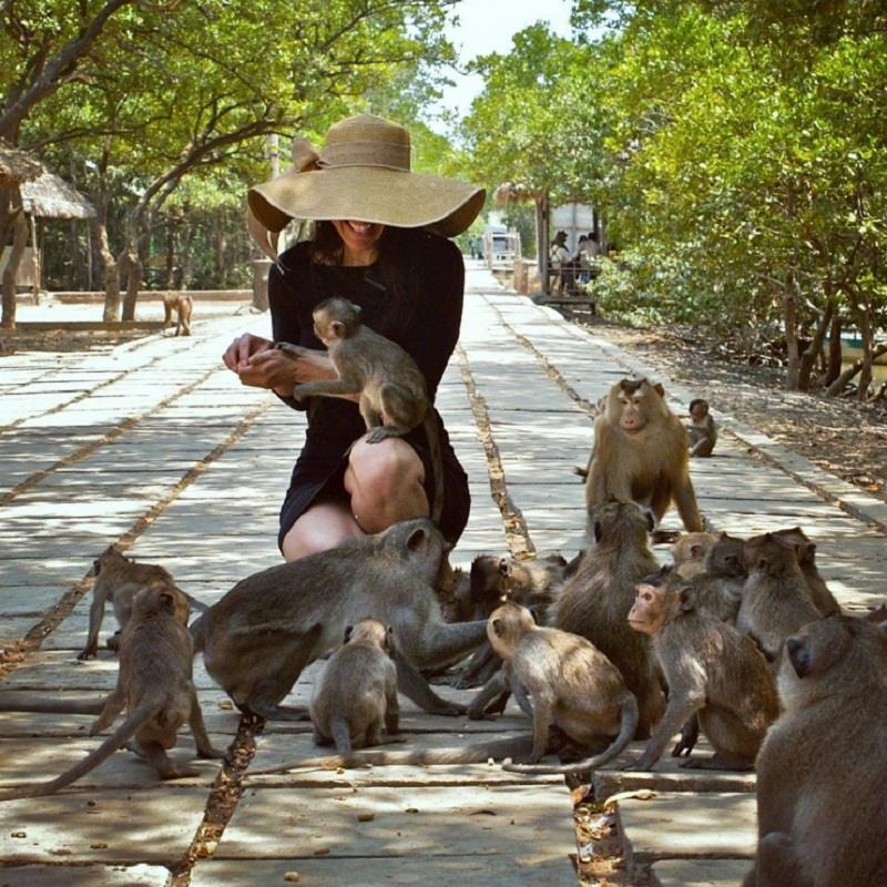 + Hòn Lao - Đảo khỉ