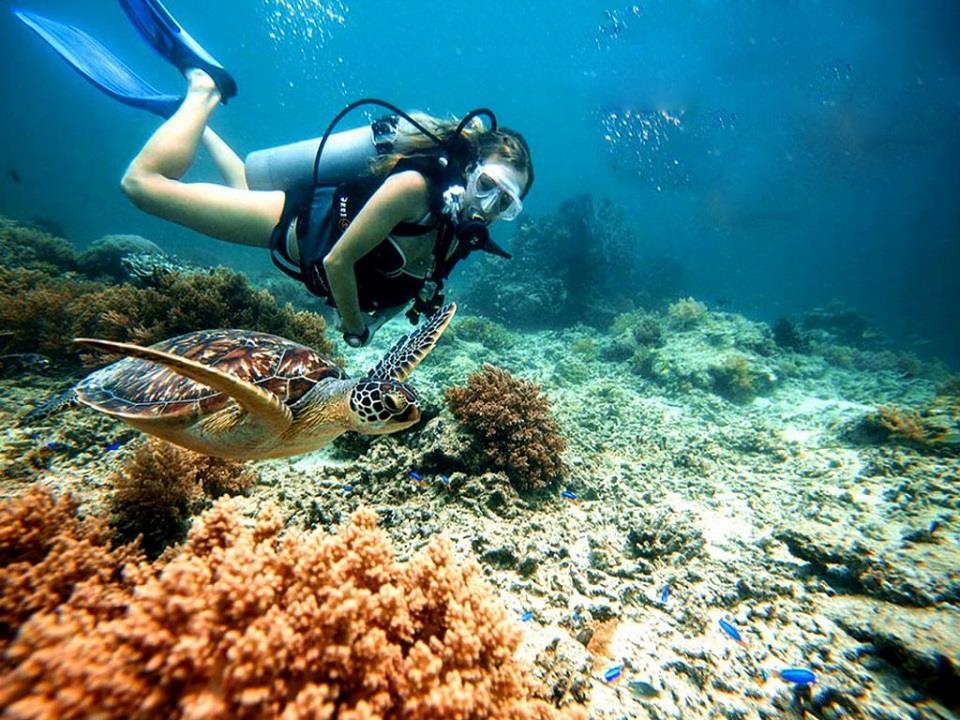 PhÃ¢n biá»t Snorkeling vÃ  Diving