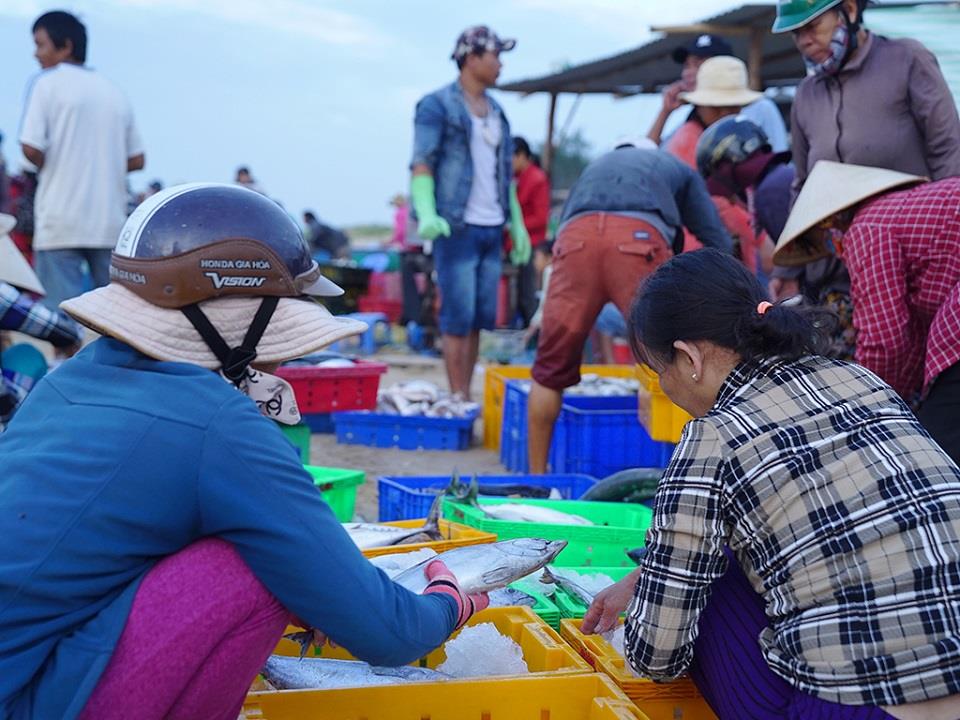 Chợ cá náo nhiệt cả một vùng trời nơi làng biển