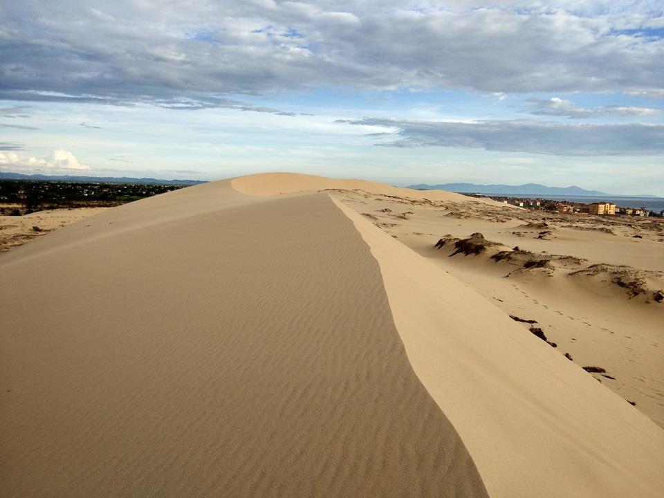Những đồi cát có độ cao gần 100m