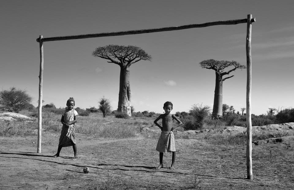 Truyền thuyết về cây baobab