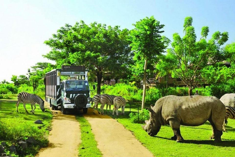 Công viên Safari