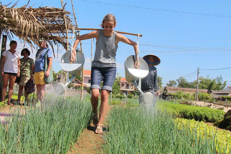 Experience as a farmer at Tra Que vegetable garden - Cam Ha