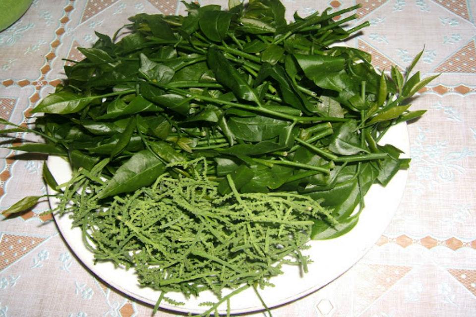 Vegetable cassava