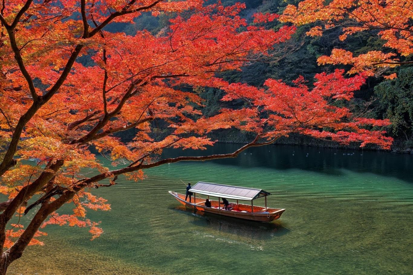 Hokkaido – Mùa thu sớm trên xứ sở Phù Tang