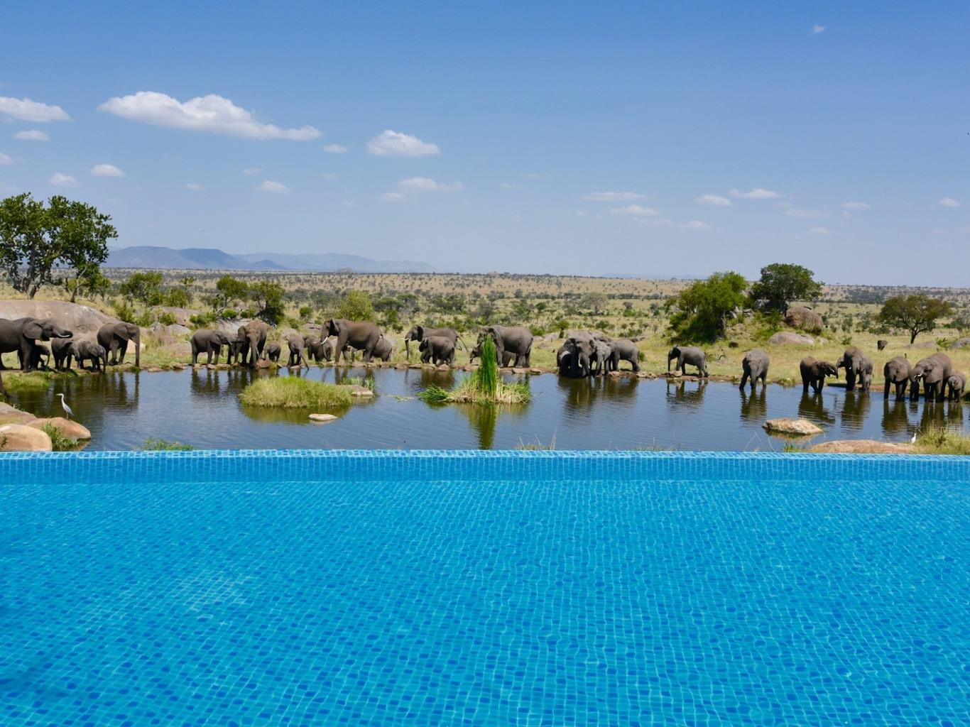 Four Seasons Safari Lodge Serengeti, Tanzania