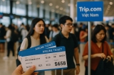 Lưu Ý Du Lịch Mùa Cao Điểm và Tình Hình Vé Máy Bay