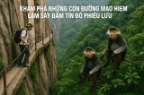 Khám Phá Những Con Đường Mạo Hiểm Làm Say Đắm Tín Đồ Phiêu Lưu