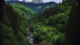 Khám Phá Vẻ Đẹp Huyền Bí Của Rừng Đen (Black Forest) Tại Đức