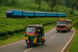 Hướng dẫn chi tiết việc di chuyển tại Sri Lanka