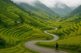 Khám Phá Cảnh Sắc Ruộng Bậc Thang Y Tý và Cung Đường Chữ S Huyền Thoại