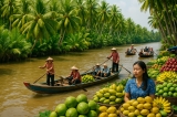Khám Phá Du Lịch Bến Tre: Xứ Dừa Hấp Dẫn Từ Sông Nước Và Văn Hóa
