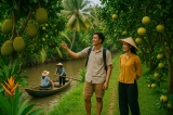 Khám Phá Vẻ Đẹp Bến Tre Qua Bốn Mùa
