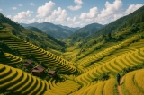 Khám Phá Vẻ Đẹp Yên Bái: Địa Điểm, Kinh Nghiệm và Văn Hóa