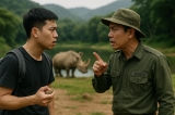 Hành Vi Ném Đá Vào Động Vật Quý Và Hệ Lụy Pháp Lý