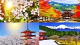 Khám Phá Bốn Mùa Tuyệt Đẹp Của Nhật Bản: Nên Đi Khi Nào?