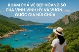 Khám Phá Vẻ Đẹp Hoang Sơ của Vịnh Vĩnh Hy và Vườn Quốc Gia Núi Chúa