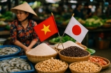 Vai trò của Việt Nam trong thị trường xuất khẩu thực phẩm toàn cầu