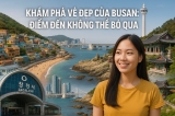 Khám Phá Vẻ Đẹp Của Busan: Điểm Đến Không Thể Bỏ Qua