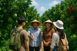 Phát Triển Du Lịch Sinh Thái Miệt Vườn: Bước Tiến Mới Cho Nông Dân Việt Nam