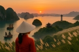 Hành Trình Khám Phá Quảng Ninh - Hạ Long Trọn Gói: Hướng Dẫn Toàn Diện