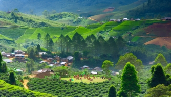 Khám Phá Hành Trình Tây Nguyên 5 Ngày 4 Đêm