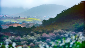 Khám Phá Vẻ Đẹp Bốn Mùa Của Đà Lạt