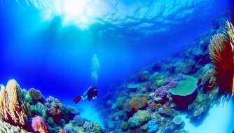 Trải Nghiệm Lặn Biển Tại Great Barrier Reef, Úc