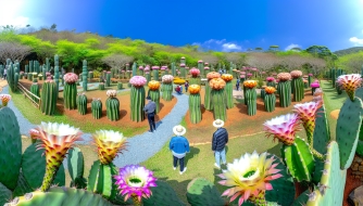 Khám Phá Khu Vườn Xương Rồng Mộc Châu: Điểm Check-in Không Thể Bỏ Qua Khám Phá Khu Vườn Xương Rồng Mộc Châu: Điểm Check-in Không Thể Bỏ Qua