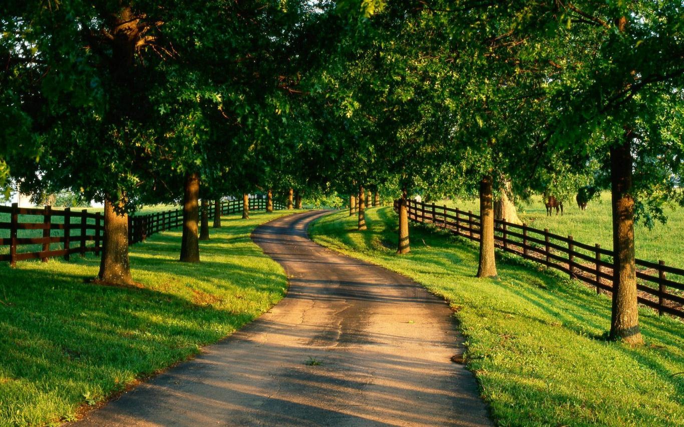 Hãy cùng bội phục trước khung cảnh tuyệt đẹp của đường mòn đi bộ. Những con đường rợp bóng cây xanh mát, không khí trong lành sẽ giúp bạn tạm quên đi giang hồ phồn hoa. Hãy ngắm nhìn những tán lá rì rào, đánh thức tâm hồn và trò chuyện cùng bạn bè trong hành trình này.