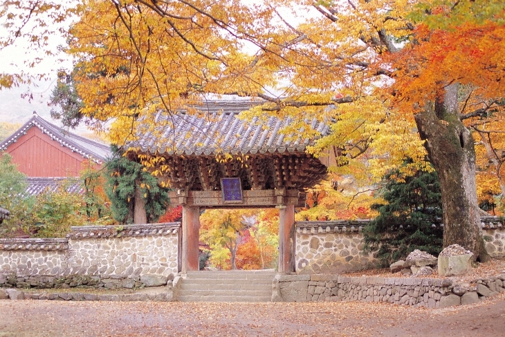 Hàn Quốc - đất nước xinh đẹp và lãng mạn | VIETRAVEL - Vietravel