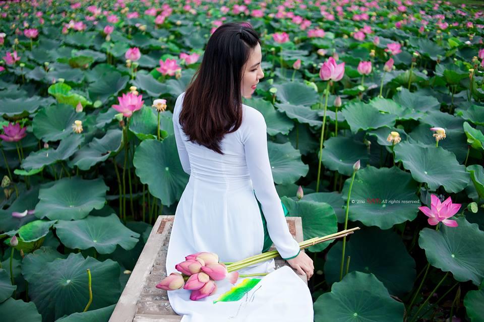 Đầm sen trắng đẹp tinh khôi giữa ngày hè ở Hà Nội