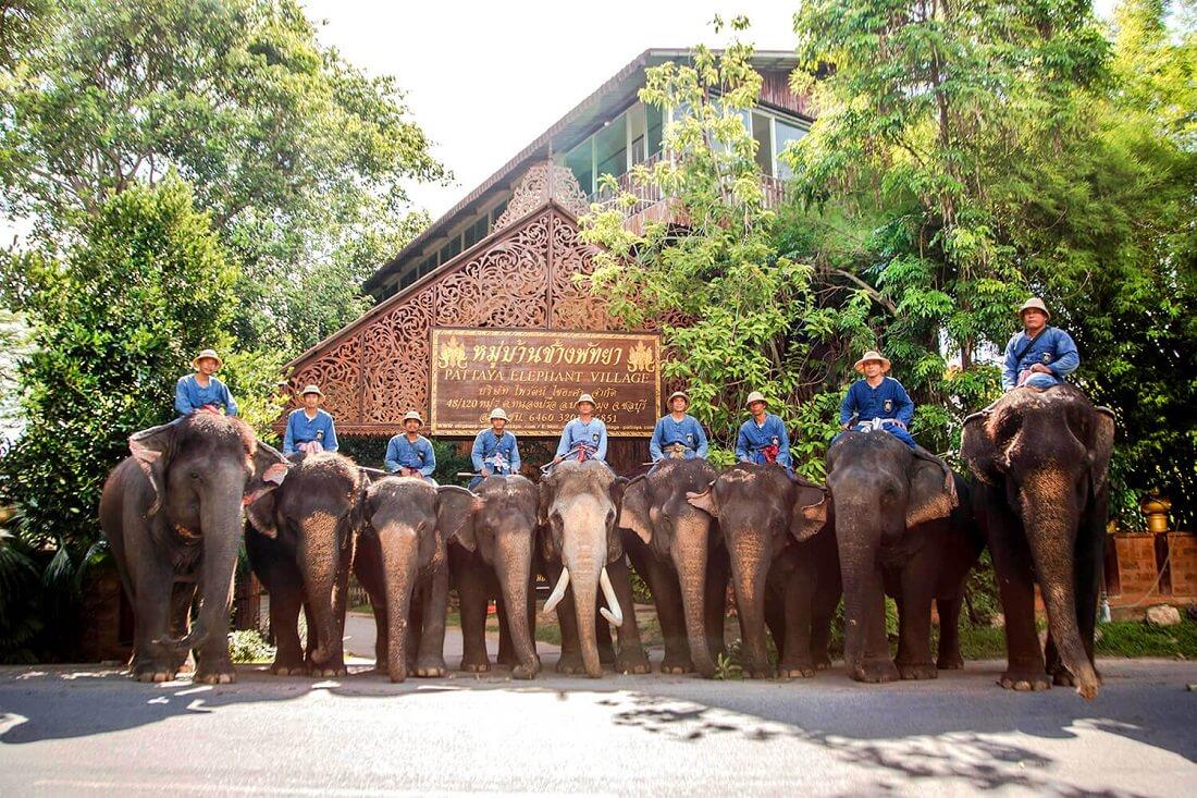 3. Làng voi Pattaya