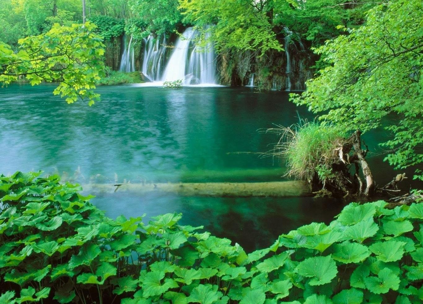 9. Vườn quốc gia Phú Quốc - nơi hội tự hệ sinh thái rừng nhiệt đới trù phú