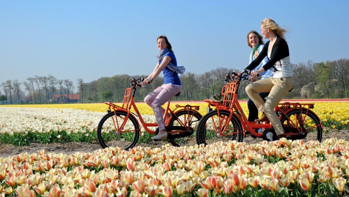 3. Ngắm lễ hội hoa trên tuyến đường xe đạp