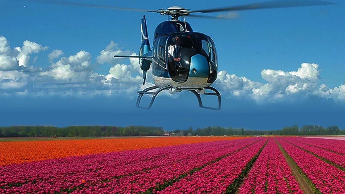 4. Choáng ngợp khi ngắm nhìn cánh đồng hoa Tulip từ trực thăng